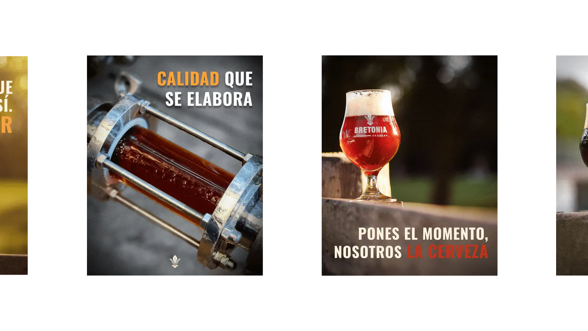 carrousel de posteos de Instagram